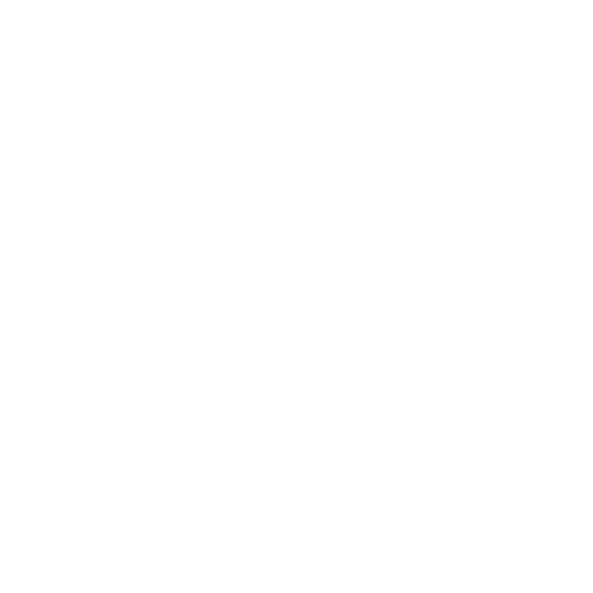 vszn logo white